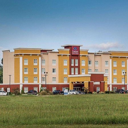Comfort Suites Near Tanger Outlet Mall Gonzales Exteriér fotografie