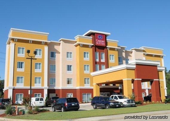 Comfort Suites Near Tanger Outlet Mall Gonzales Exteriér fotografie